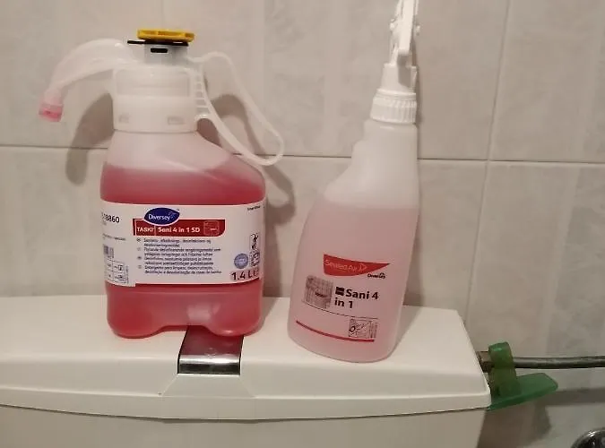 Pastorinhos De Fatima